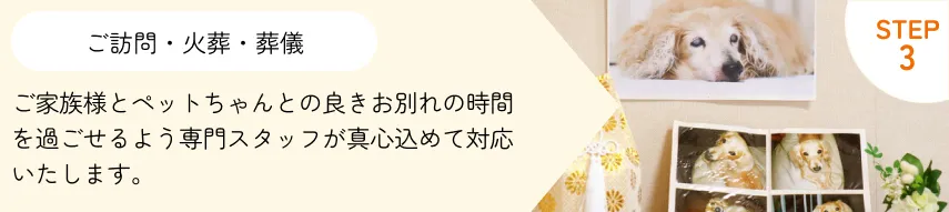 ステップ3